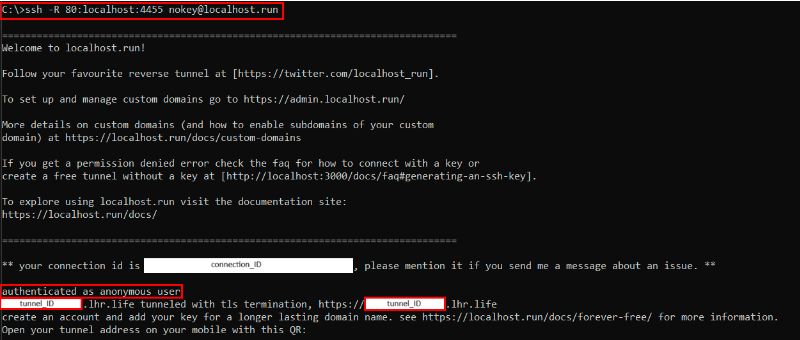 Screenshot of localhost initialization on Windows